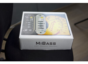 Ashdown MiBass 550