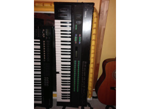 Dave Smith Instruments Evolver (60150)