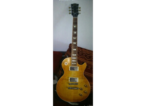 Gibson Les Paul Standard Faded '60s Neck (64805)